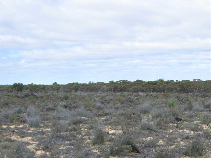 Boorabbin National Park, Boorabbin, WA