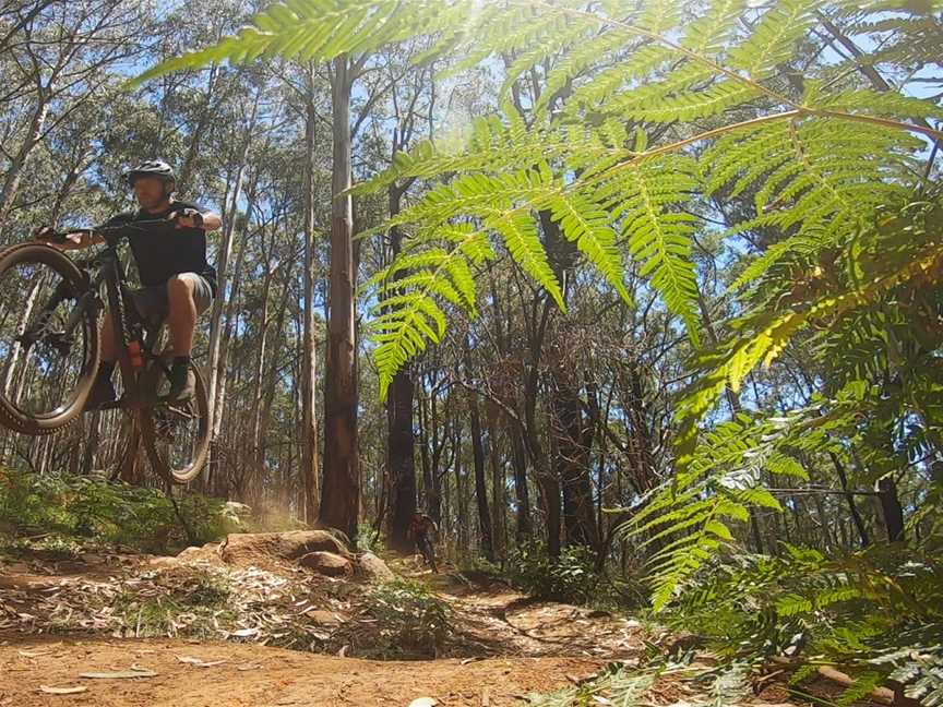 Olinda and Grey Gums Track, Silvan, VIC