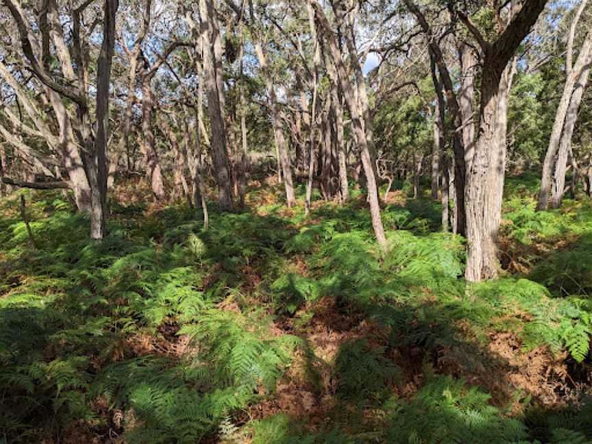 Telford Scrub Conservation Park, Mingbool, SA