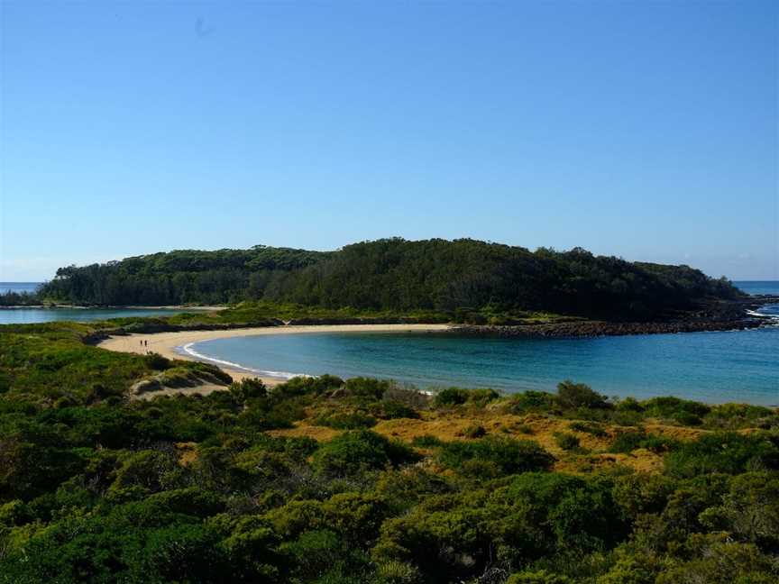 Snorkelling Broulee Island, Broulee, NSW