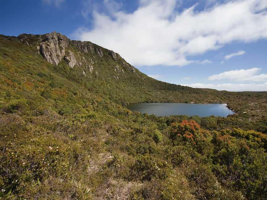 Hartz Mountains National Park, Raminea, TAS