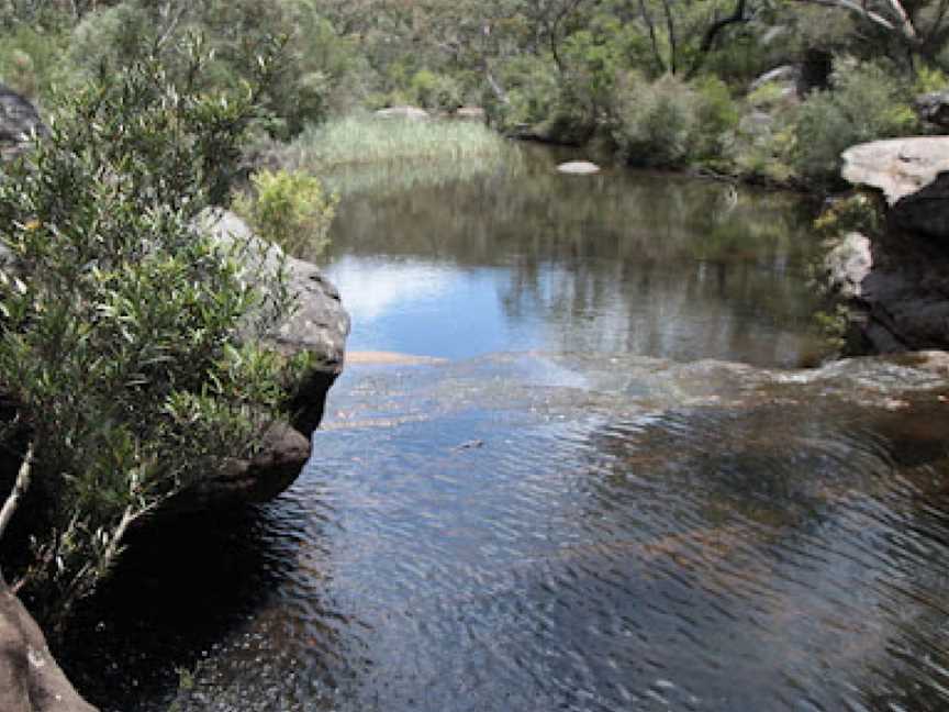 Heathcote National Park, Heathcote, NSW