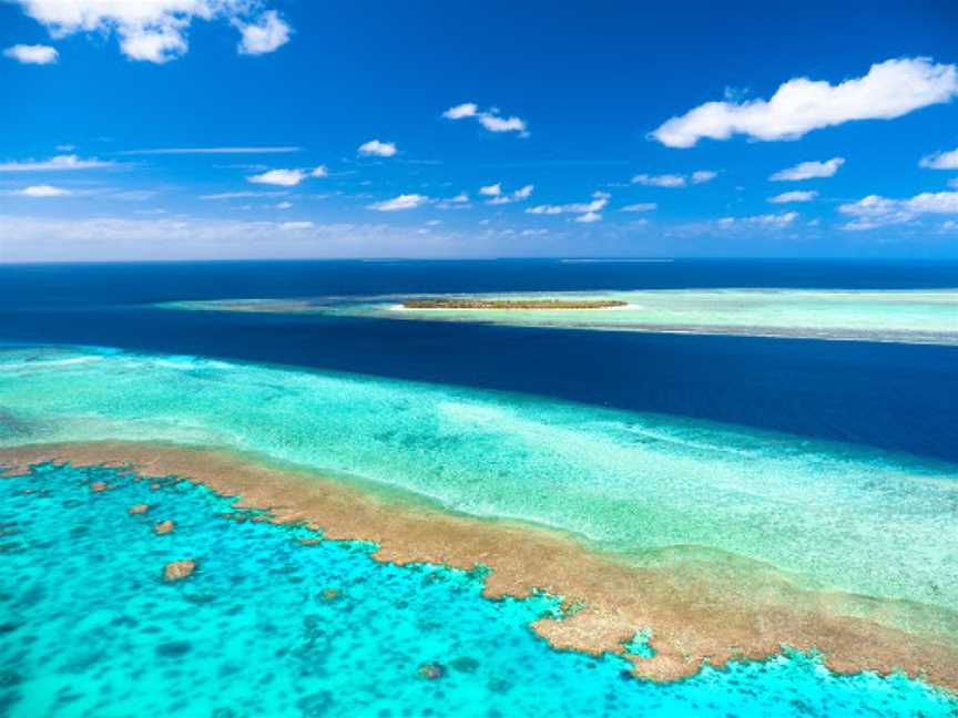 Coral Gardens, Heron Island, QLD