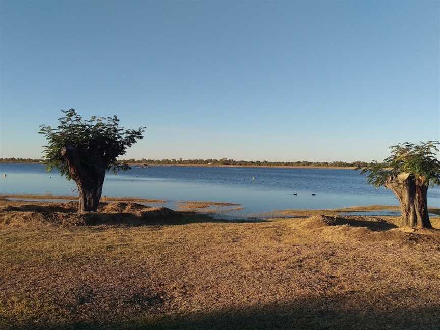 Bush Tucker Garden, Richmond, QLD