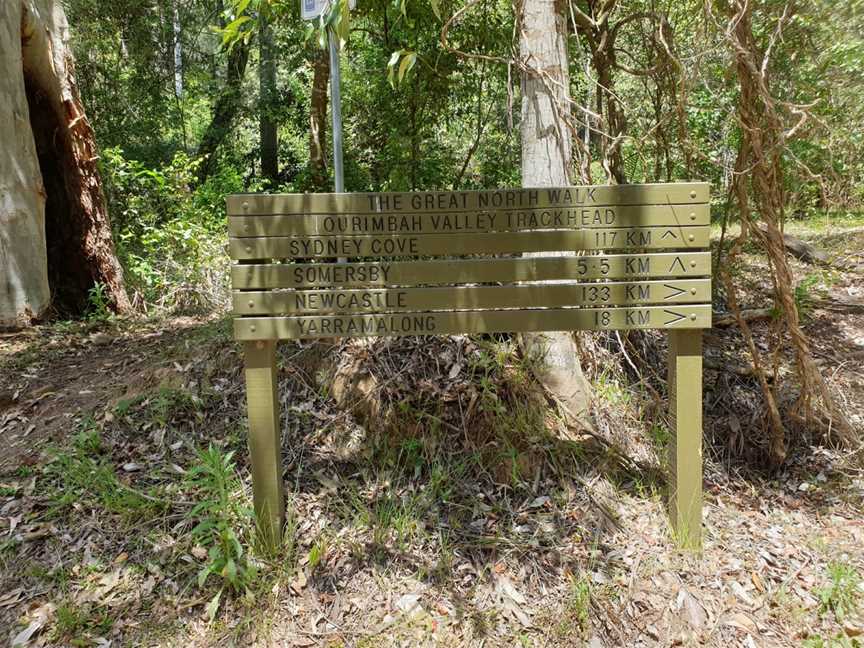 Palm Grove Nature Reserve, Somersby, NSW