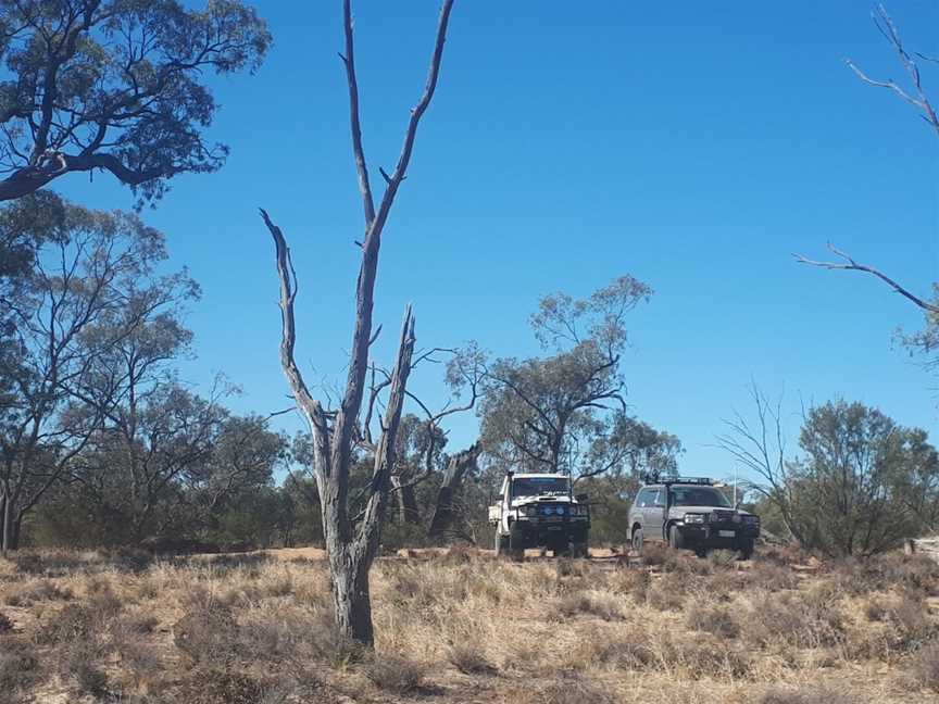 Maize Island Lagoon Conservation Park, Holder, SA