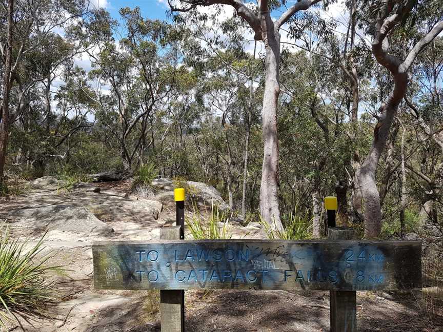 South Lawson Waterfall Circuit, Lawson, NSW