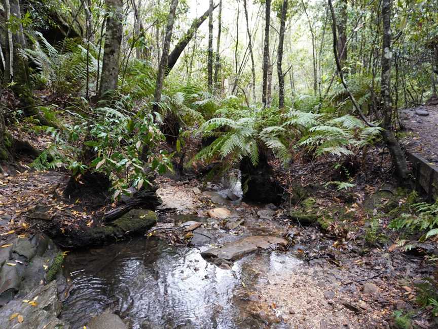 South Lawson Waterfall Circuit, Lawson, NSW