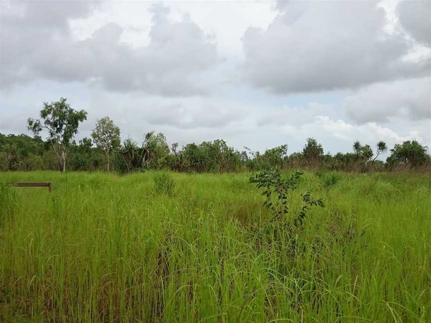 Holmes Jungle Nature Park, Darwin, NT