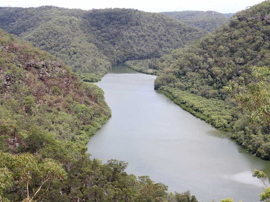 Berowra Valley National Park, Hornsby Heights, NSW