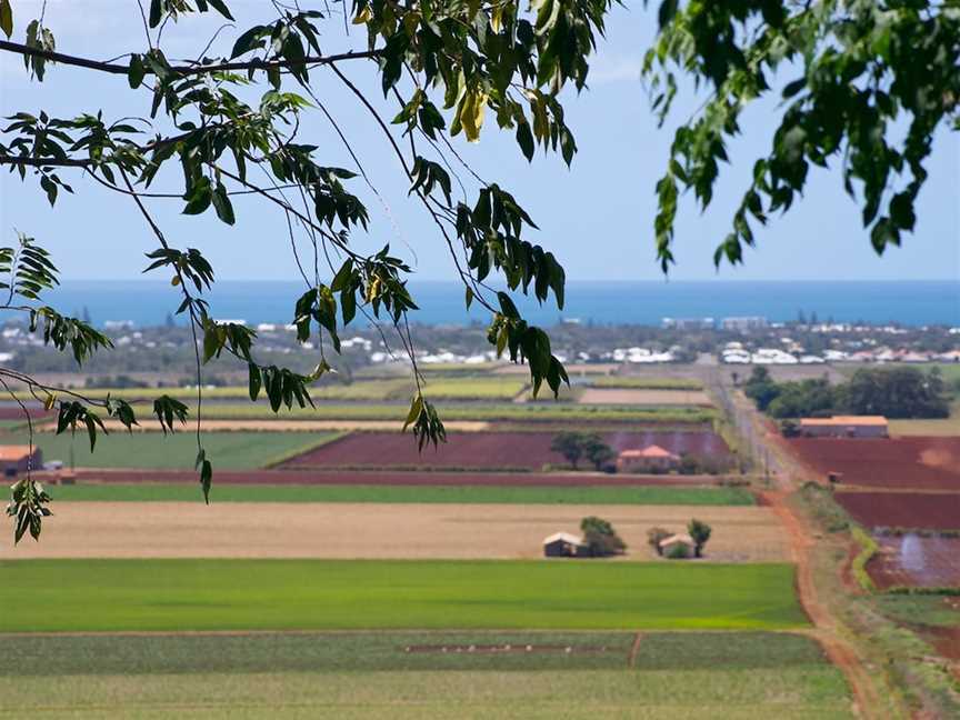 Hummock Lookout, Qunaba, QLD