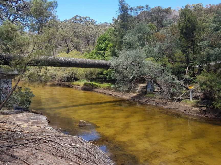 Pipeline and Bungaroo Tracks to Stepping Stones Crossing, St Ives, NSW