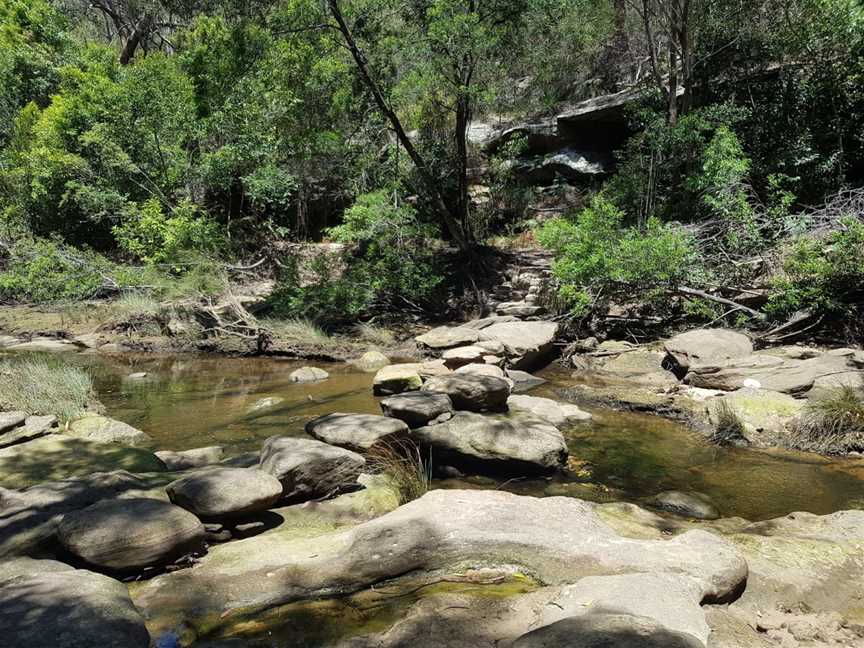 Pipeline and Bungaroo Tracks to Stepping Stones Crossing, St Ives, NSW