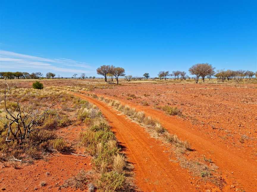 Currawinya National Park, Hungerford, QLD