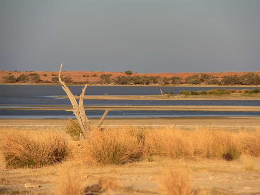 Innamincka Regional Reserve, Innamincka, SA