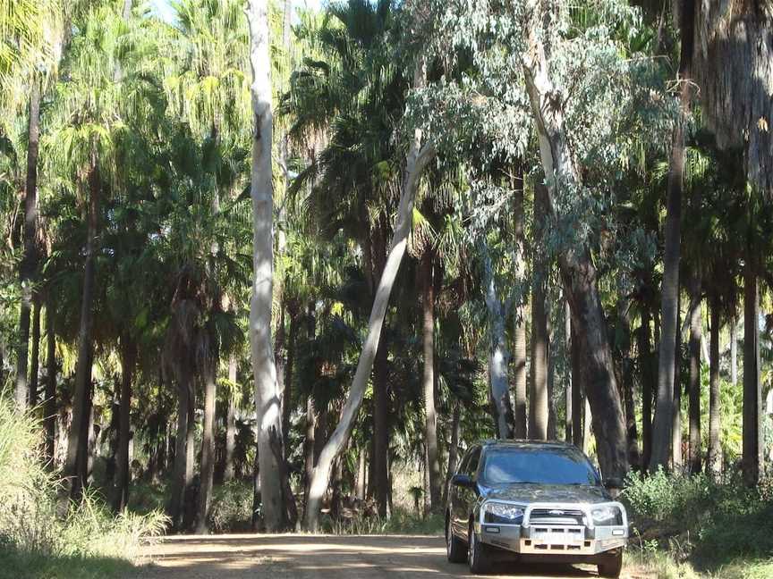 Cracow Beach, Isla, QLD