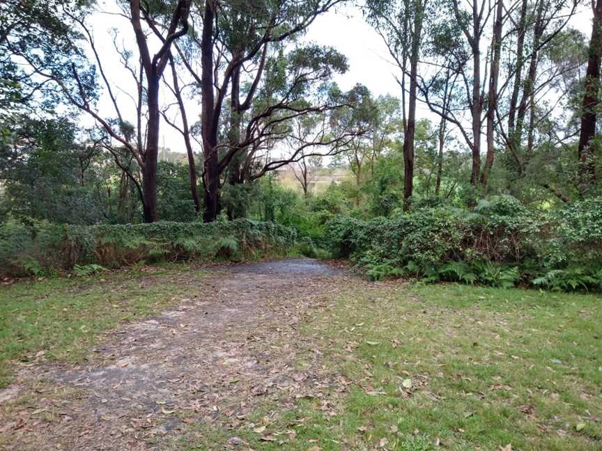 Wolli Creek Walking Track, Earlwood, NSW