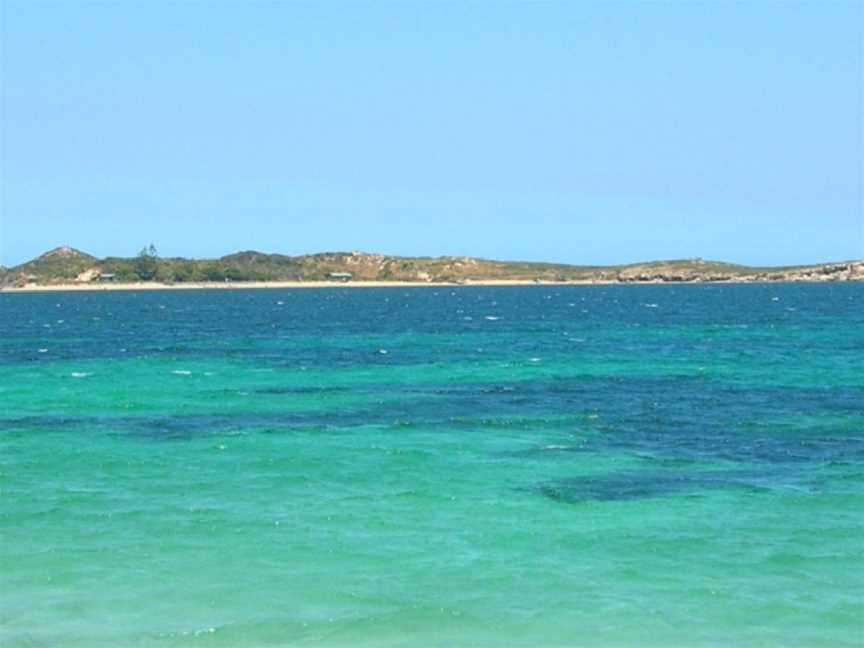 Penguin Island, Shoalwater, WA