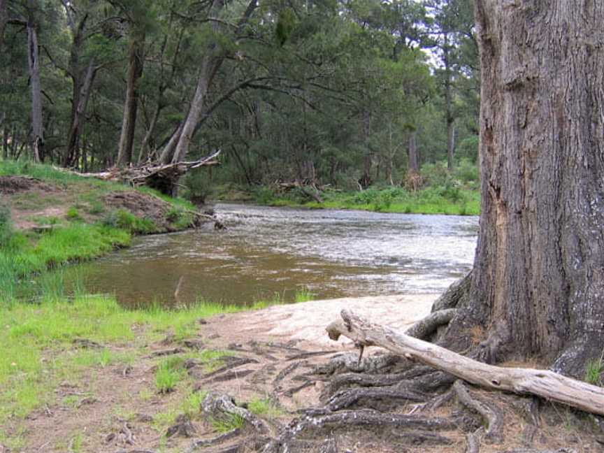 Bangadilly National Park, Joadja, NSW