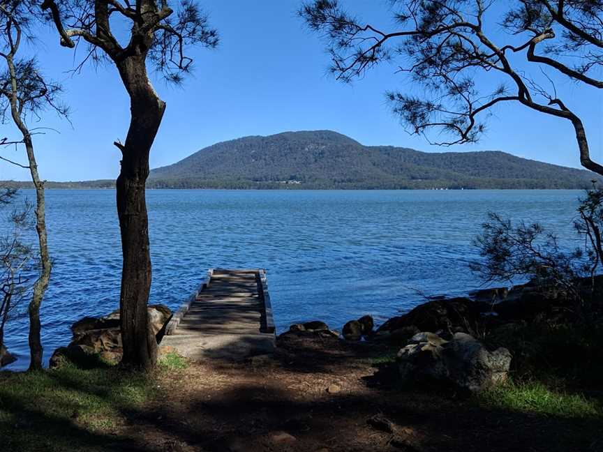 Queens Lake Nature Reserve, Jolly Nose, NSW