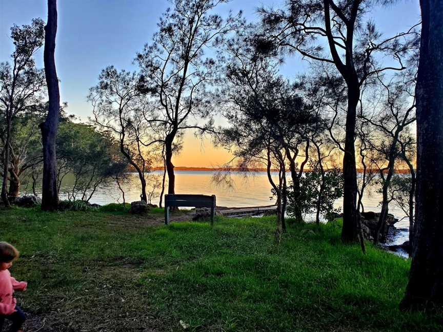 Queens Lake Nature Reserve, Jolly Nose, NSW