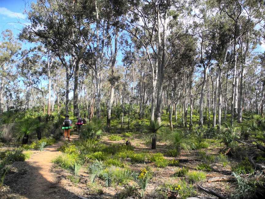 Bibbulmun Track, Kalamunda, WA