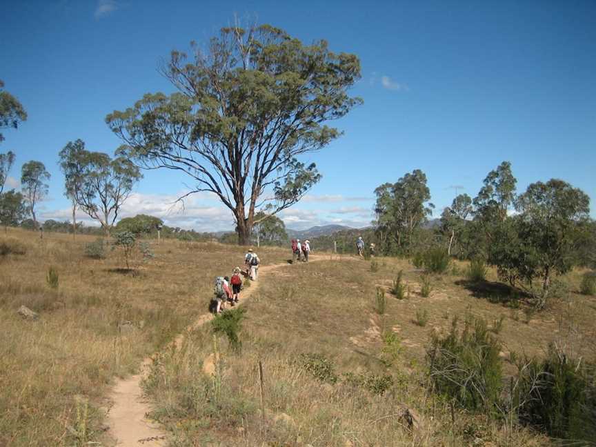 Kambah Pool to Pine Island Walking Trail, Tuggeranong, ACT