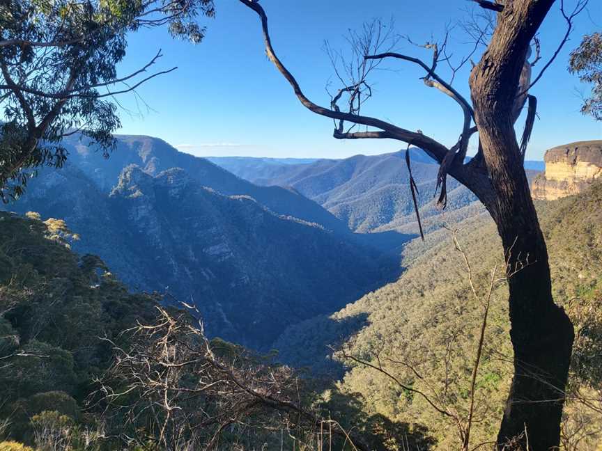 Kanangra-Boyd lookout, Kanangra, NSW