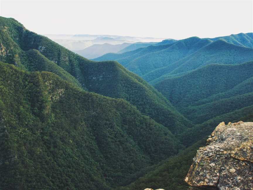 Kanangra-Boyd National Park, Kanangra, NSW