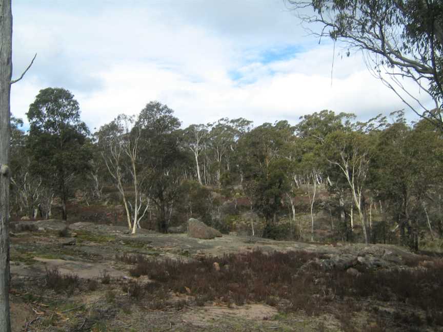 Kanangra-Boyd National Park, Kanangra, NSW