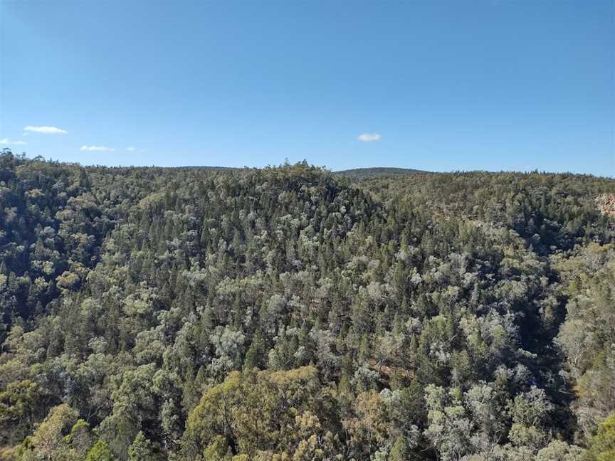 Conimbla National Park, Grenfell, NSW