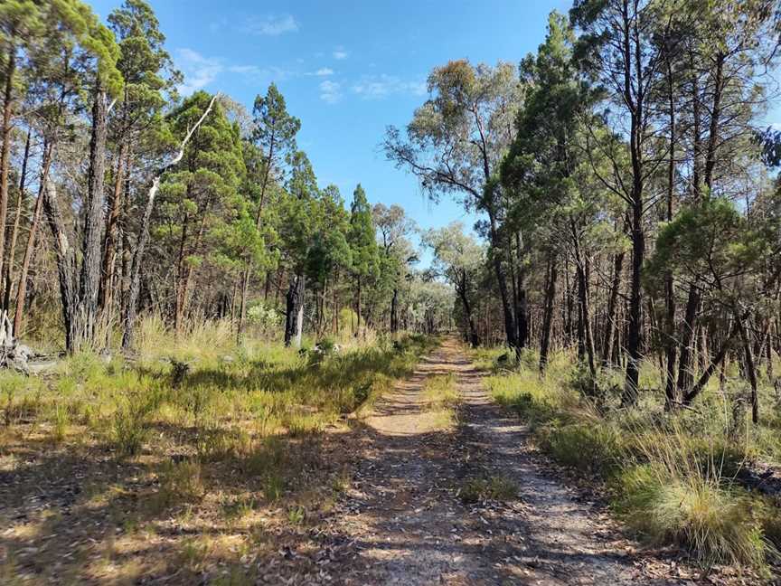 Conimbla National Park, Grenfell, NSW