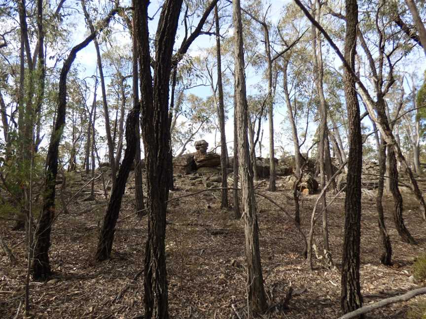 Conimbla National Park, Grenfell, NSW