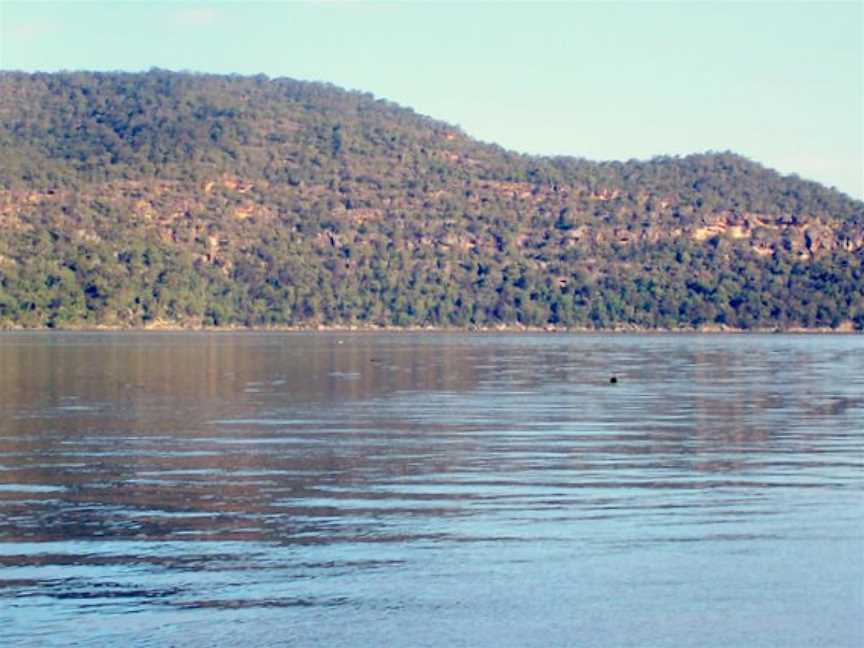 Brisbane Water National Park, Kariong, NSW