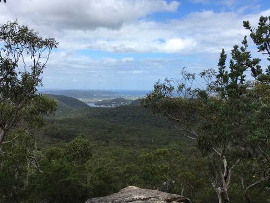 Brisbane Water National Park, Kariong, NSW