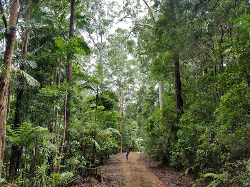 Ulidarra National Park, Karangi, NSW