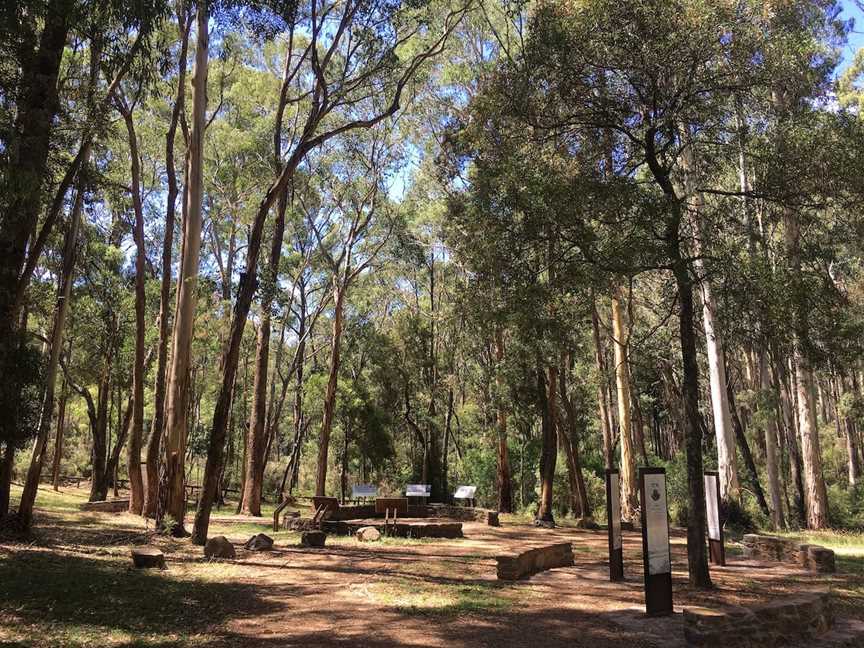 Stringybark Historical Reserve, Archerton, VIC