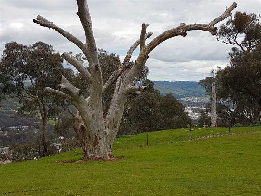 Huon Hill Parklands, Bandiana, VIC