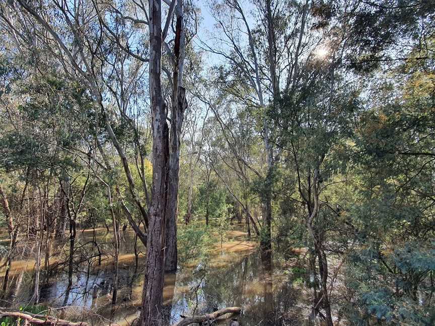 King River, King Valley, VIC