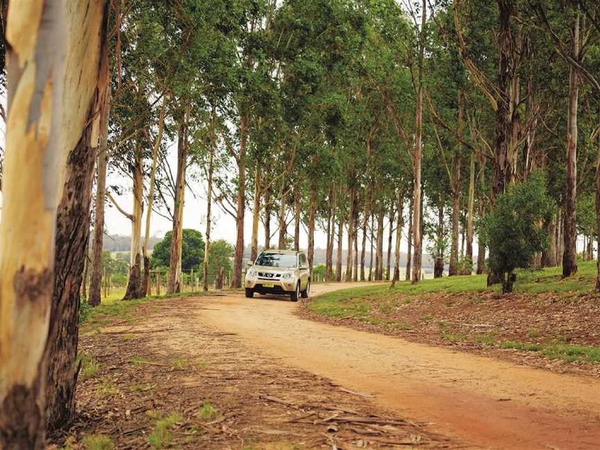 Kingaroy Lions Park, Kingaroy, QLD