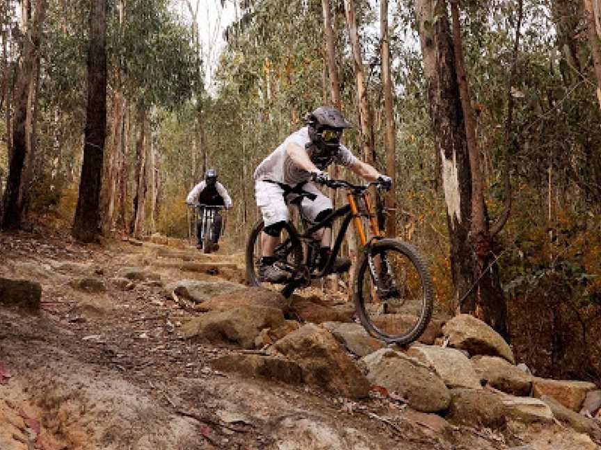 Kinglake National Park, Kinglake West, VIC