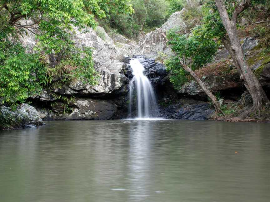 Kondalilla National Park, Montville, QLD