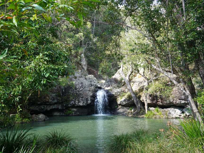 Kondalilla National Park, Montville, QLD