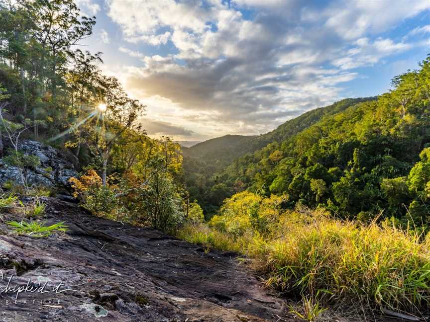 Kondalilla National Park, Montville, QLD