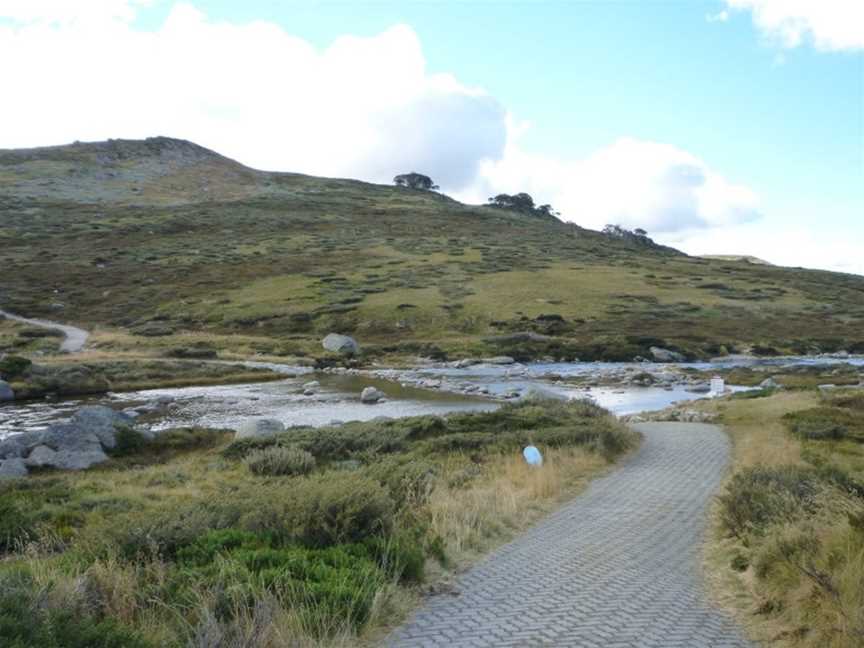 Kosciuszko National Park: Charlotte Pass to Mt Kosciuszko, Kosciuszko, NSW