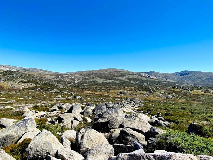 Mount Kosciuszko Summit walk, Kosciuszko National Park, NSW