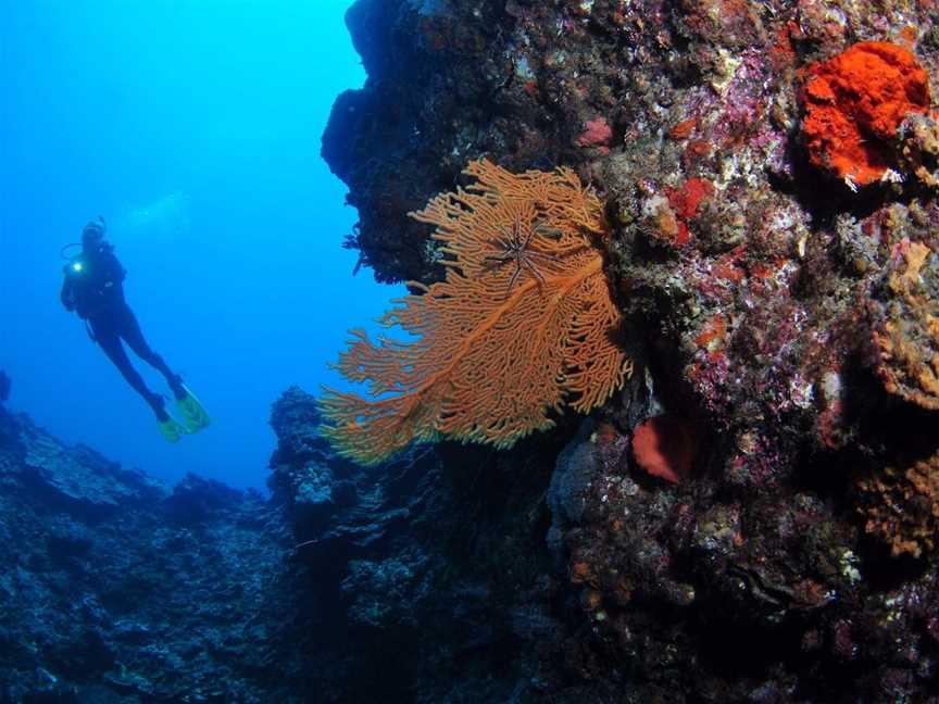 The Blowhole, Lady Elliot Island, QLD