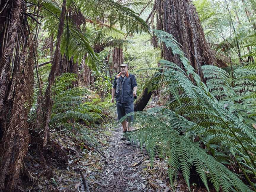 Keppel Falls Walk, Marysville, VIC