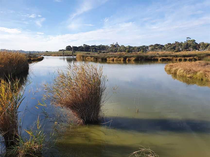 Rocky Gully Wetlands, Murray Bridge, SA