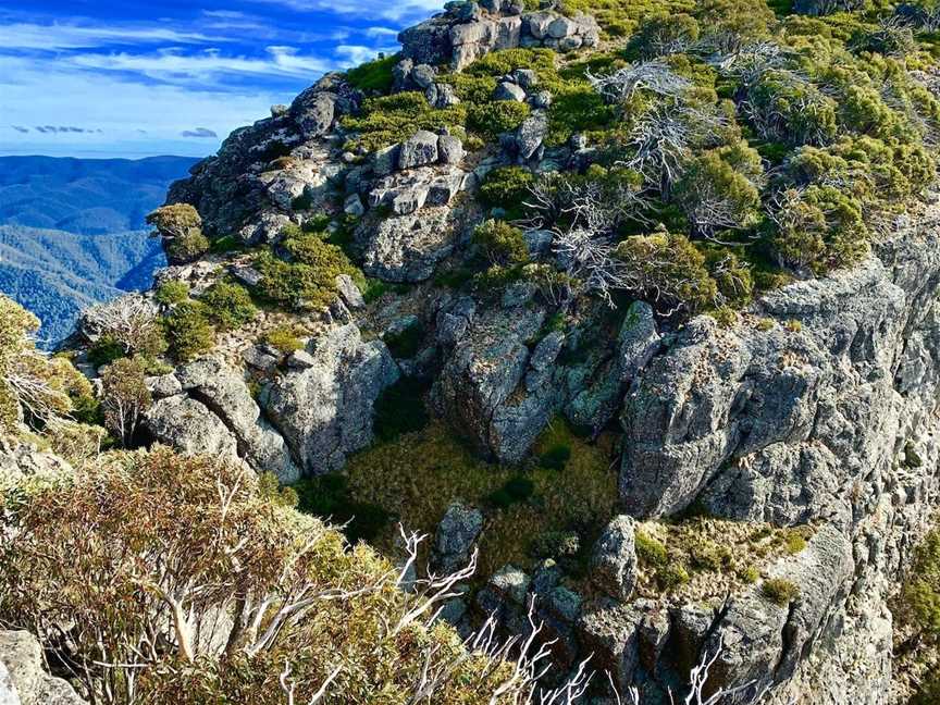 Mt Cobbler Walking Track, Wabonga, VIC